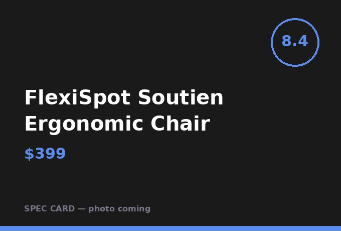 FlexiSpot Soutien Ergonomic Chair